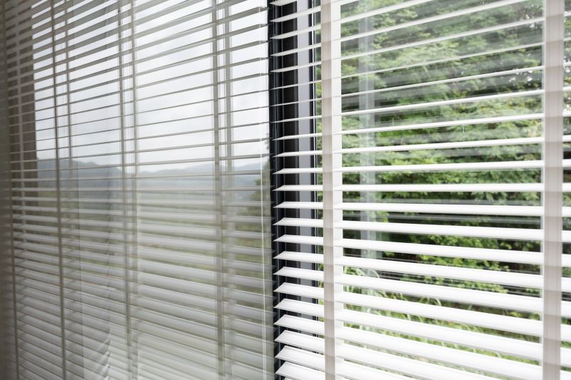 Cellular Blinds Cleaning in Billings, MT