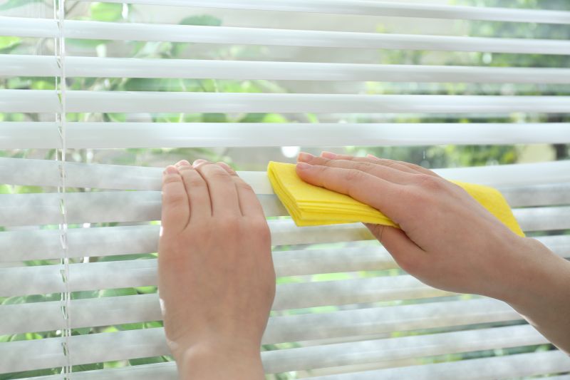Cellular Shades Cleaning in Madison, WI