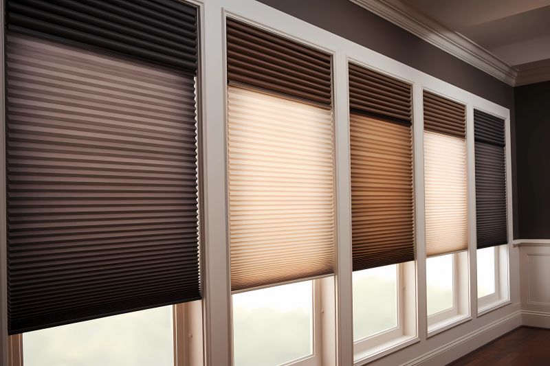 Cellular Shades Installation in Denver County, CO