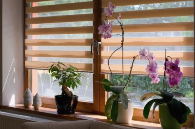 Indoor Shutters Installation in Longmont, CO