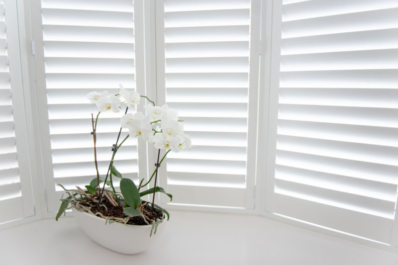 Shutters Replacement in Olathe, KS