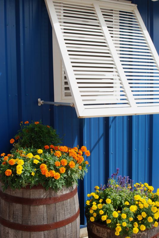 Window Shutter Installation in Denver, CO